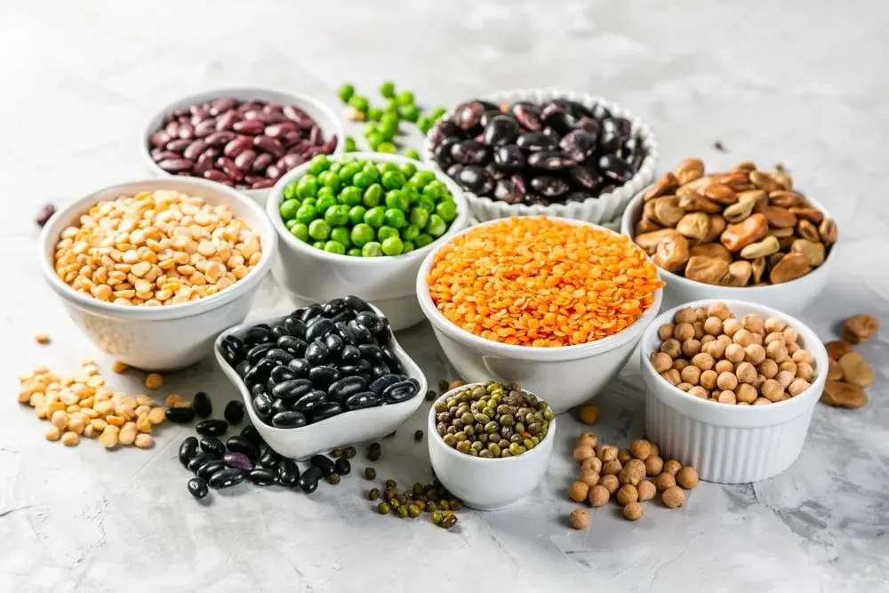 Beans and Legumes Banner